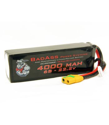 BadAss 45C 4000mah 6S LiPo Battery